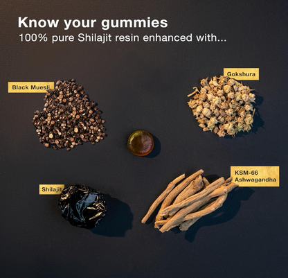 Pure Himalayan Shilajit Gummies Gold | 120 Gummy | Pouch
